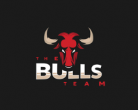 The_Bulls_Team_Esport