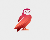 Barn_Owl
