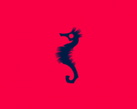 Seahorse_-_Endangered_Species_Project