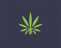 Kampen_Organic